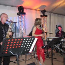 11-Piano-Bar-PVetCo